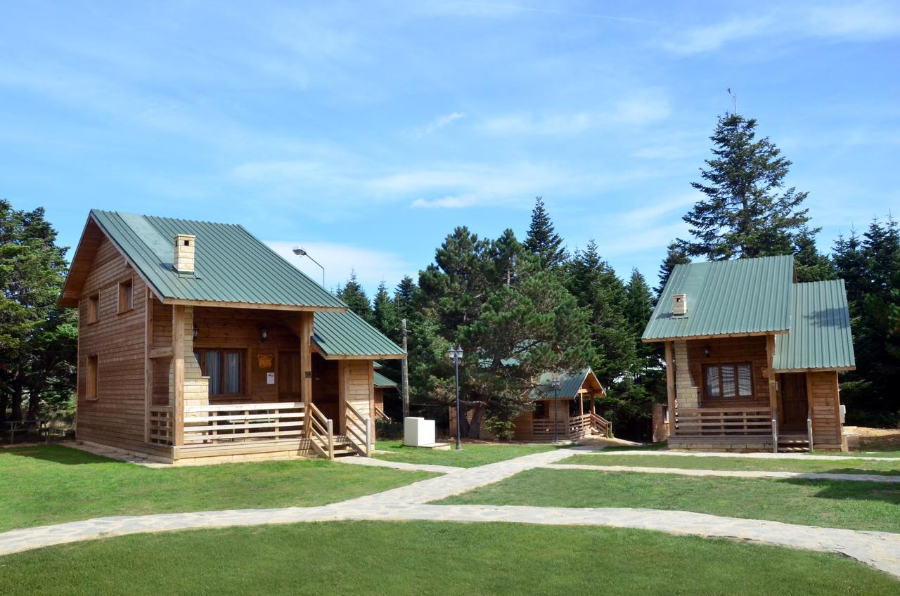 Villa Uludag Orman Koskleri Bursa Exterior foto