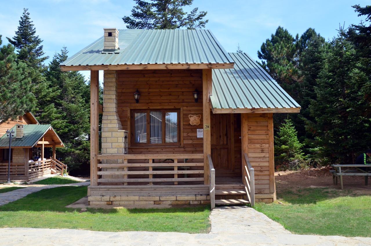 Villa Uludag Orman Koskleri Bursa Exterior foto