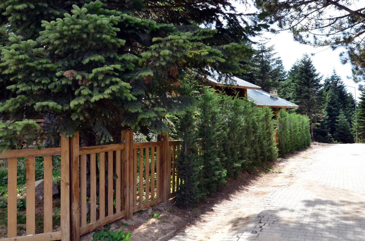 Villa Uludag Orman Koskleri Bursa Exterior foto