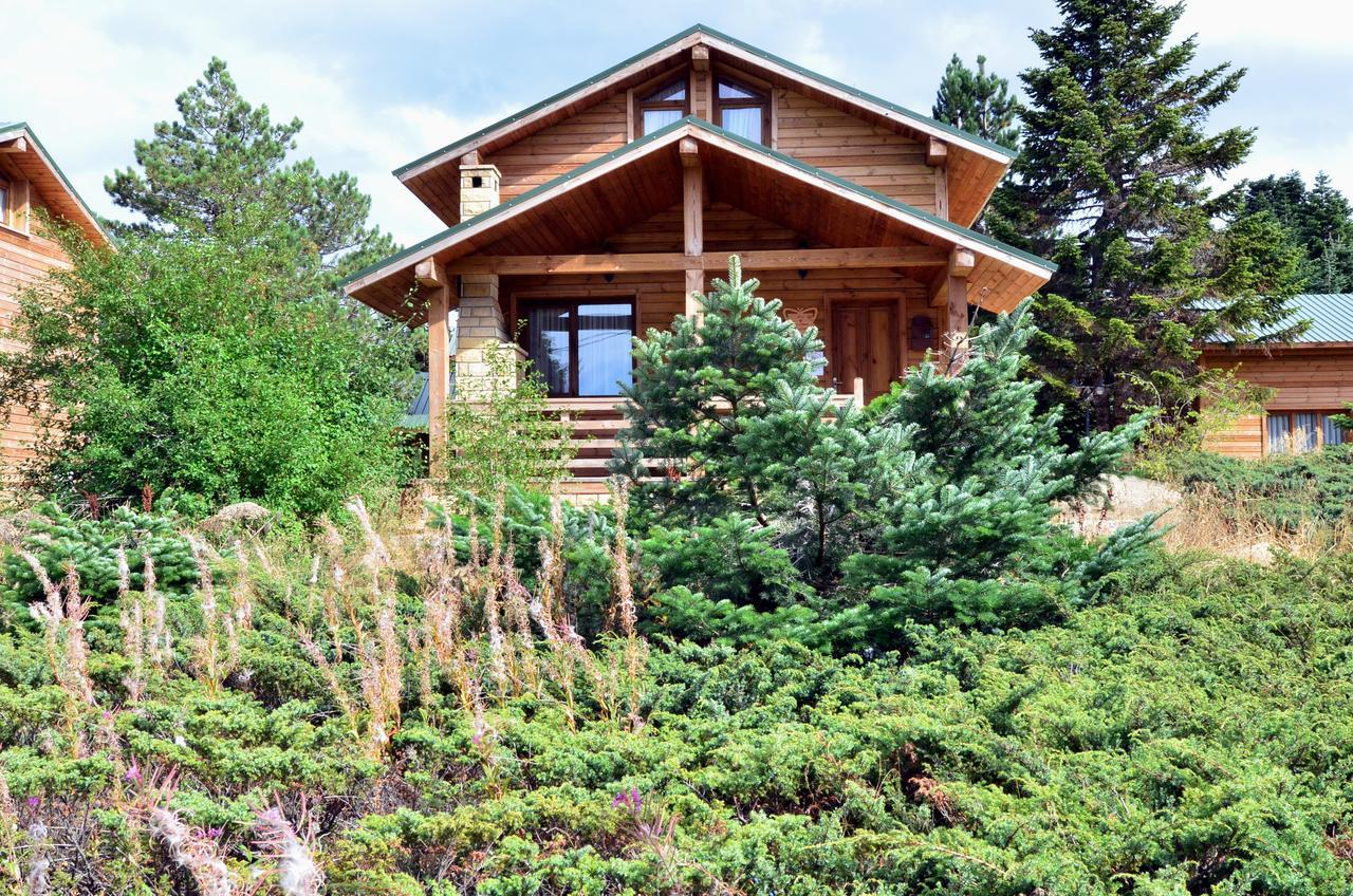 Villa Uludag Orman Koskleri Bursa Exterior foto