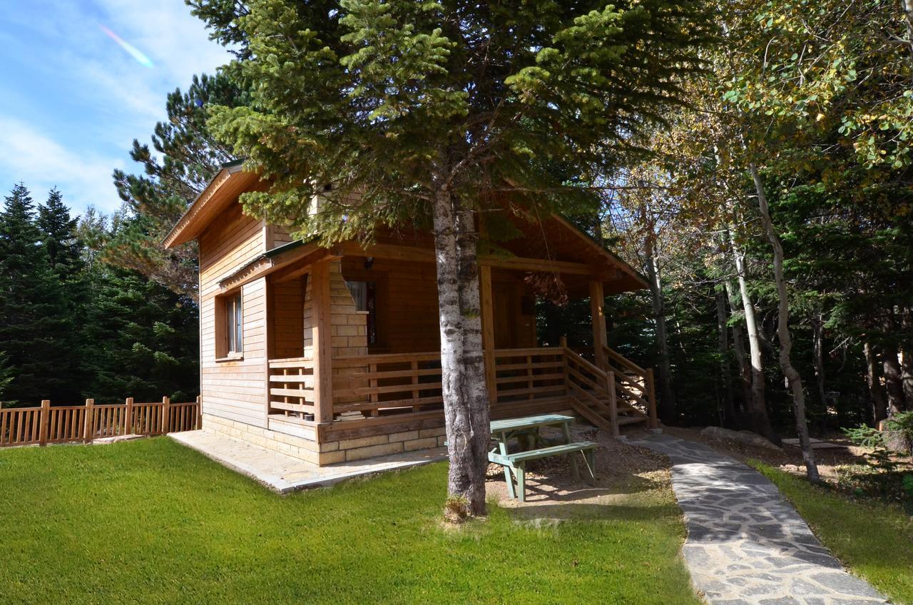 Villa Uludag Orman Koskleri Bursa Exterior foto